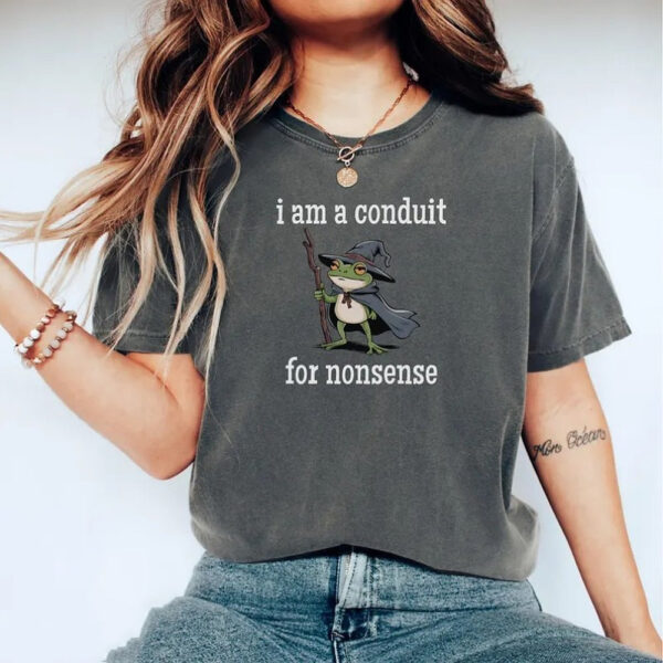 I Am A Conduit For Nonsense T-Shirt Funny Wizard Frog Graphic Tee For Humor Lovers